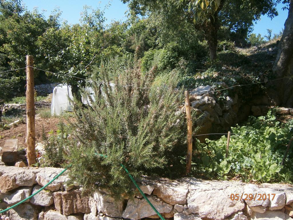 Holiday Home Loznati Cres Εξωτερικό φωτογραφία