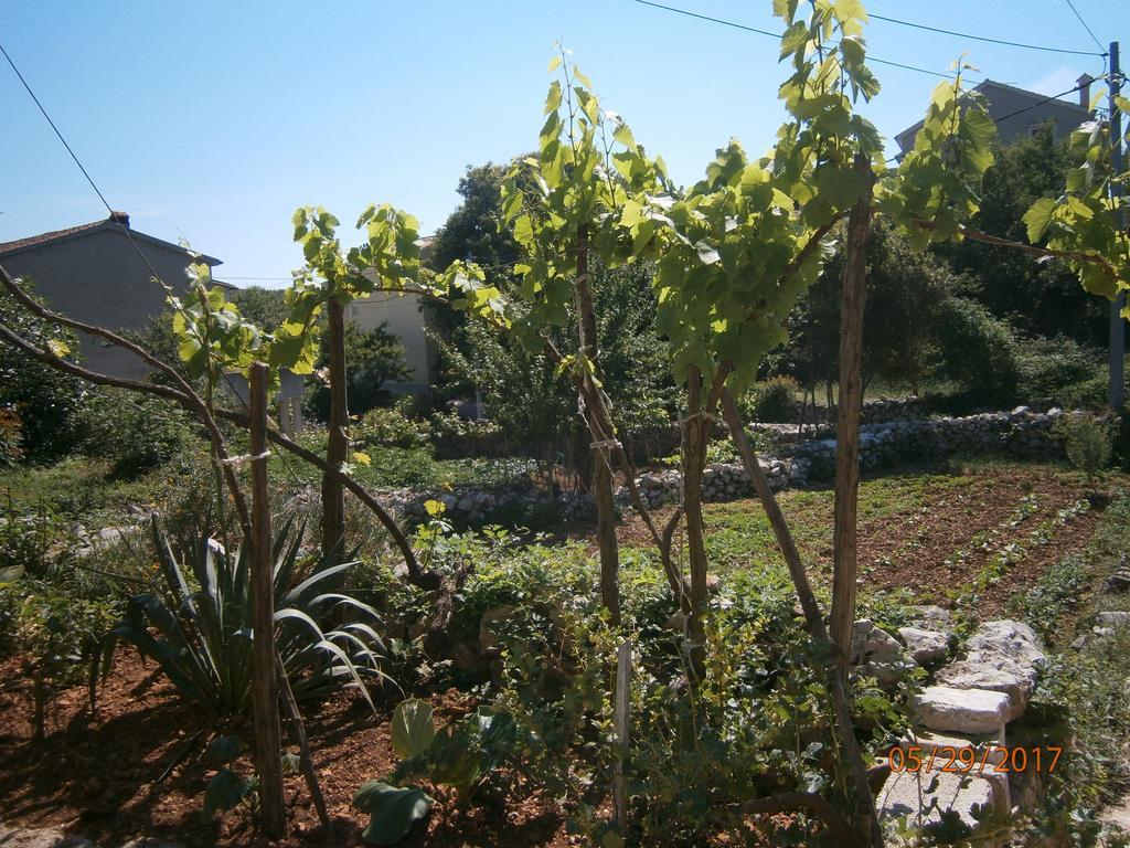 Holiday Home Loznati Cres Εξωτερικό φωτογραφία