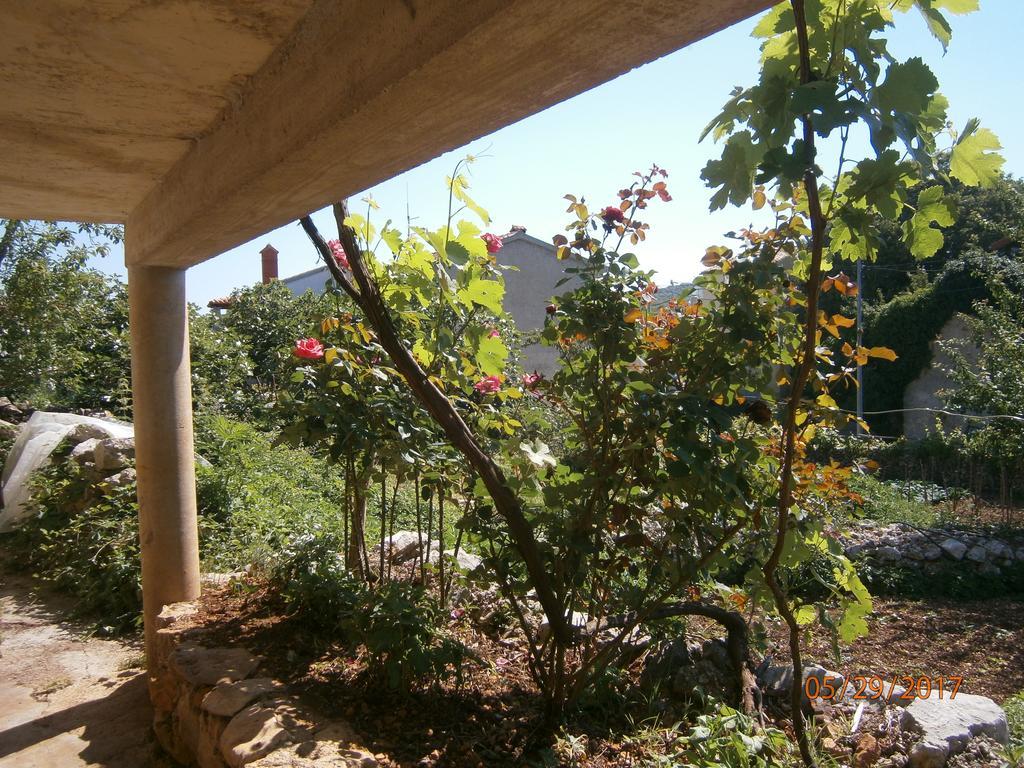 Holiday Home Loznati Cres Εξωτερικό φωτογραφία
