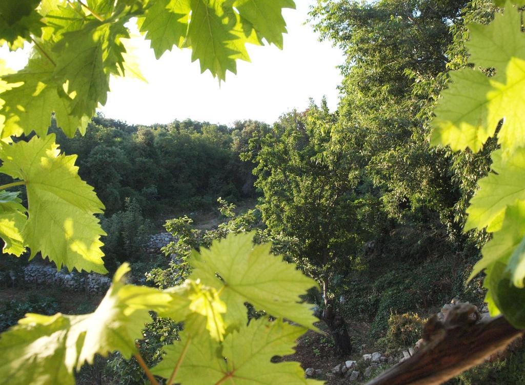 Holiday Home Loznati Cres Εξωτερικό φωτογραφία