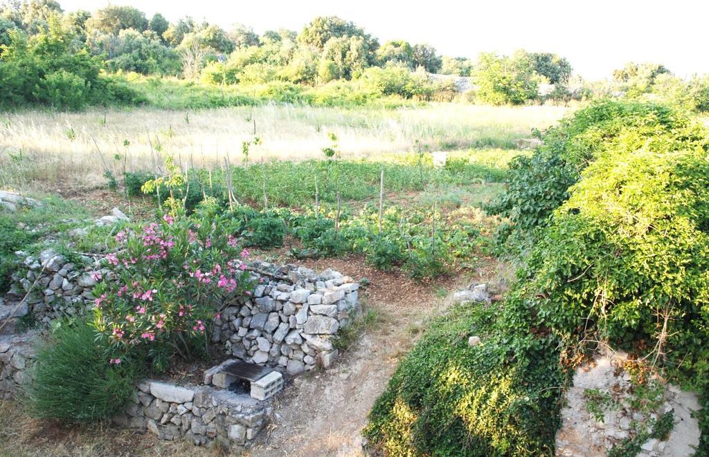 Holiday Home Loznati Cres Εξωτερικό φωτογραφία